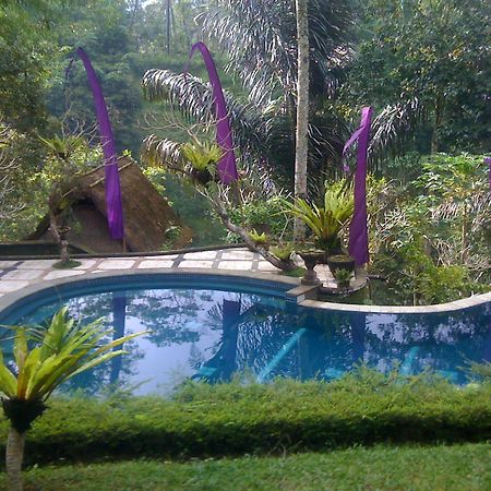 Abisha Mystique Villa Ubud Exterior foto