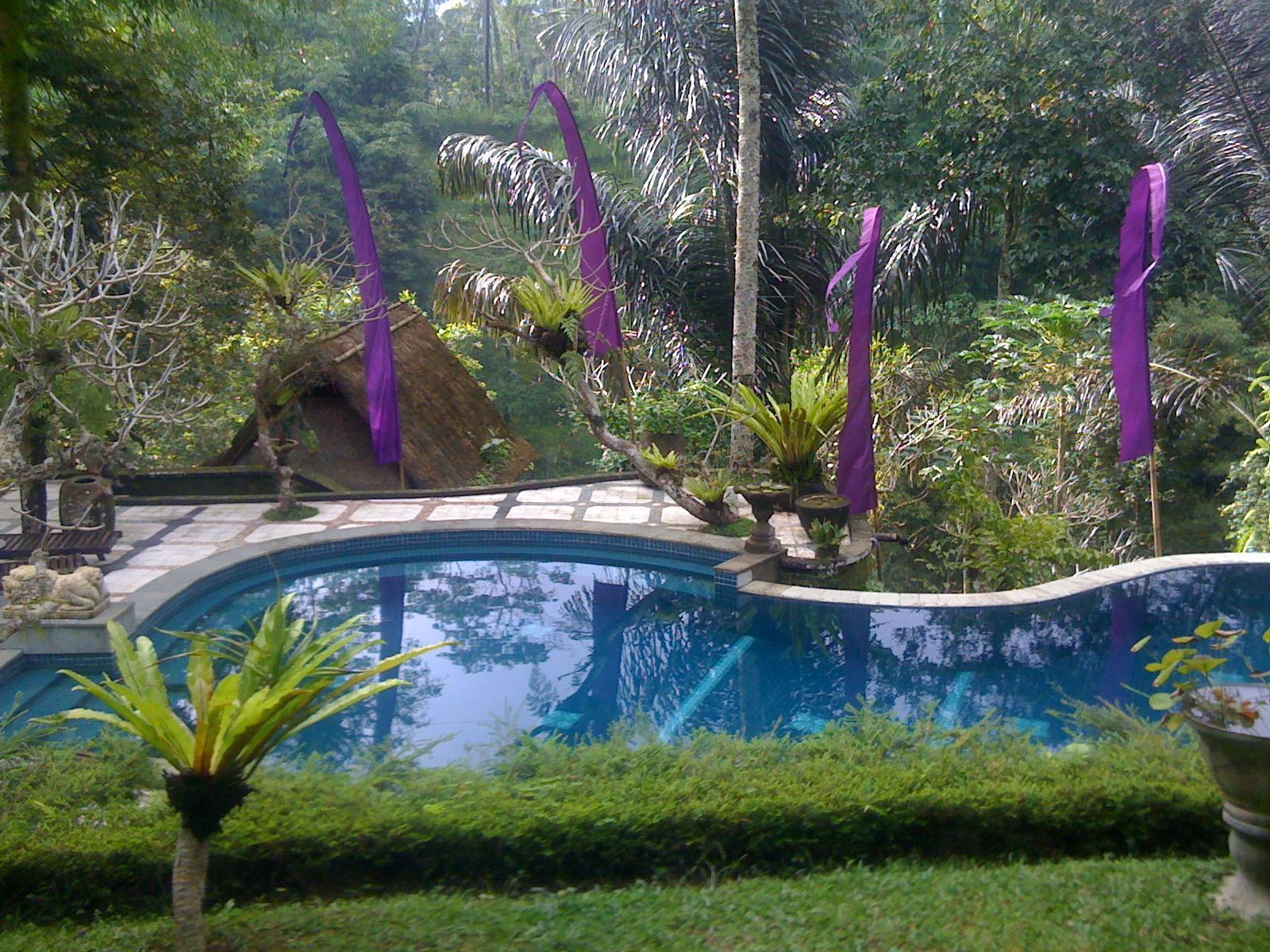 Abisha Mystique Villa Ubud Exterior foto